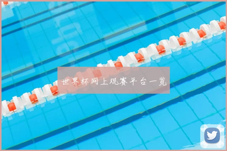世界杯网上观赛平台一览