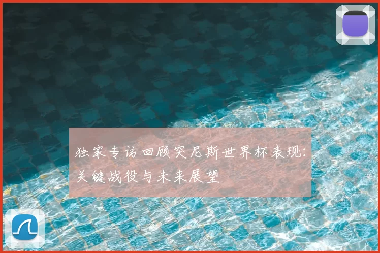 独家专访回顾突尼斯世界杯表现:关键战役与未来展望