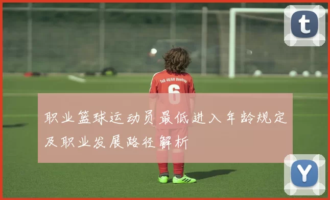 职业篮球运动员最低进入年龄规定及职业发展路径解析