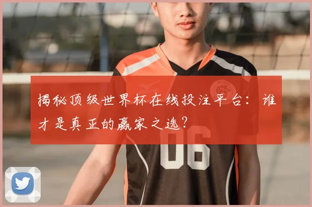 揭秘顶级世界杯在线投注平台：谁才是真正的赢家之选？