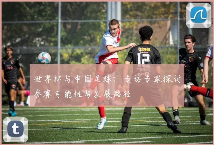 世界杯与中国足球：专访专家探讨参赛可能性与发展路径