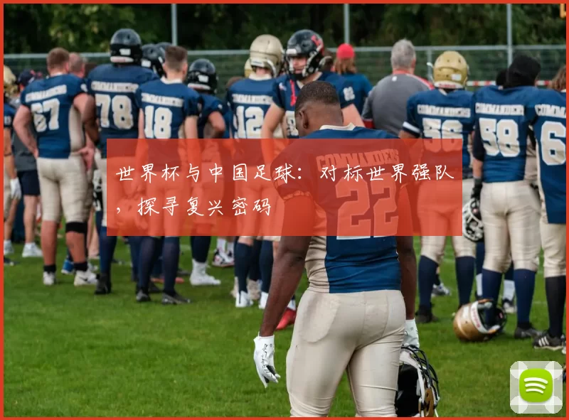 世界杯与中国足球：对标世界强队，探寻复兴密码