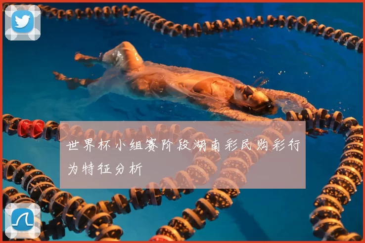 世界杯小组赛阶段湖南彩民购彩行为特征分析