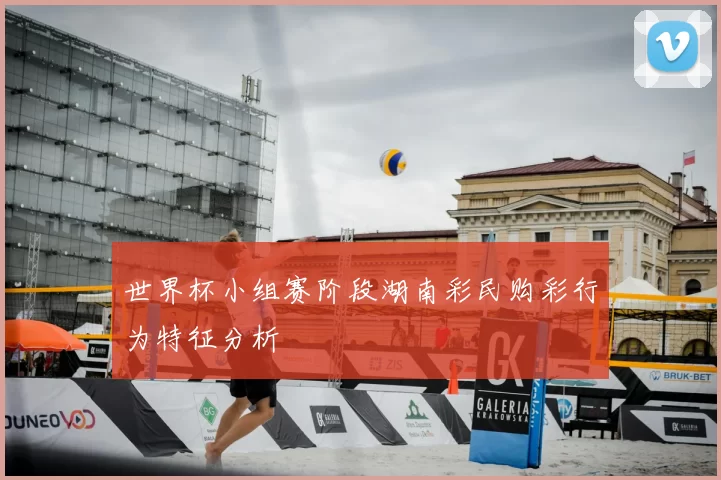 世界杯小组赛阶段湖南彩民购彩行为特征分析